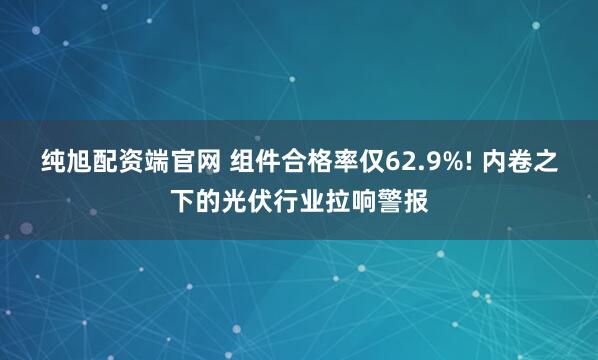 纯旭配资端官网 组件合格率仅62.9%! 内卷之下的光伏行业拉响警报