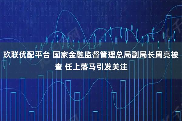 玖联优配平台 国家金融监督管理总局副局长周亮被查 任上落马引发关注