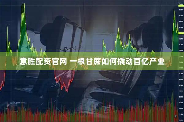 意胜配资官网 一根甘蔗如何撬动百亿产业