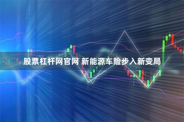 股票杠杆网官网 新能源车险步入新变局