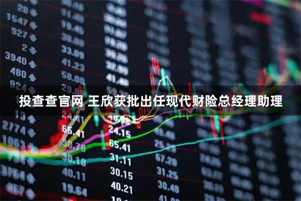 投查查官网 王欣获批出任现代财险总经理助理